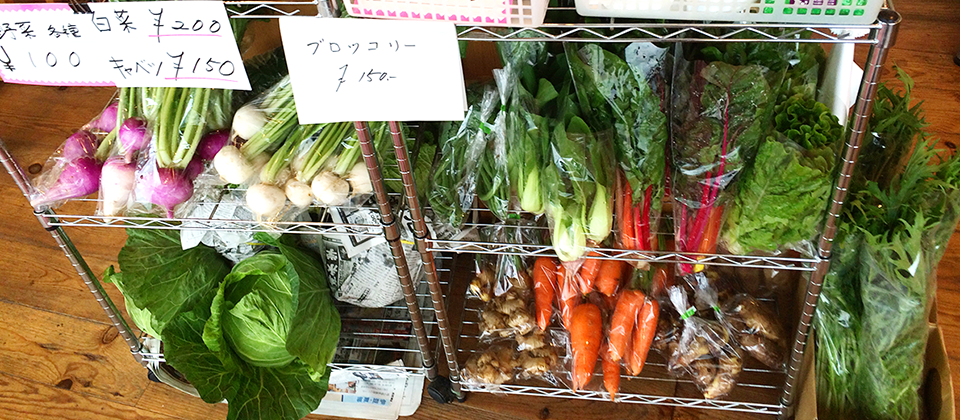 地元農家のとれたて野菜